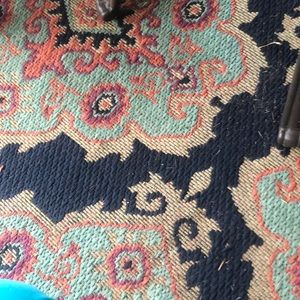 Meet your Posher, Kristan